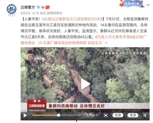 大别山人最新爆料视频,揭秘事件背后惊人真相